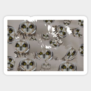 Eyes of the Owl Sticker